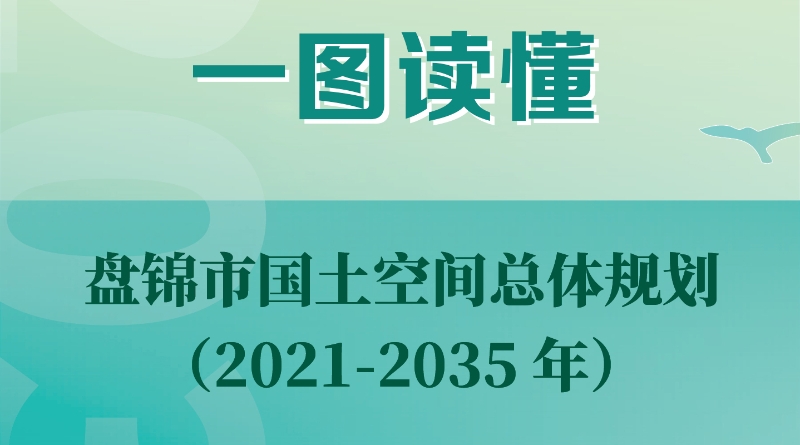 （圖解版）盤錦市國(guó)土空間總體規(guī)劃（2021—2035年）政策解讀